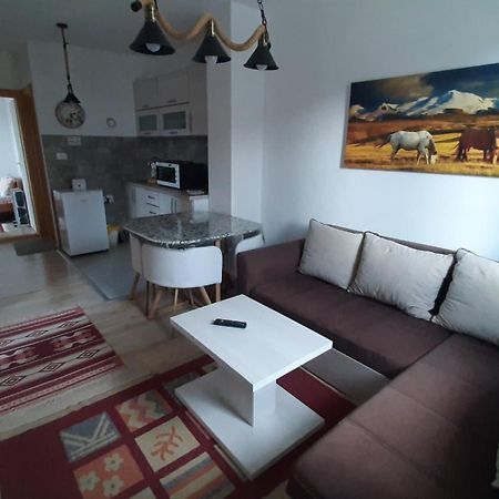 Apartments Durmitor Žabljak Extérieur photo