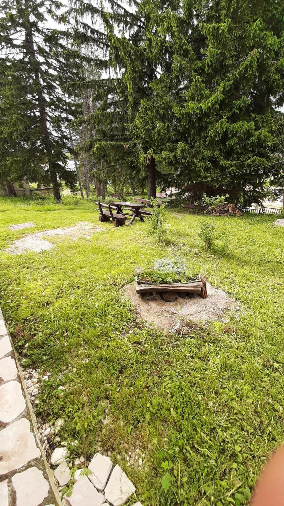 Apartments Durmitor Žabljak Extérieur photo