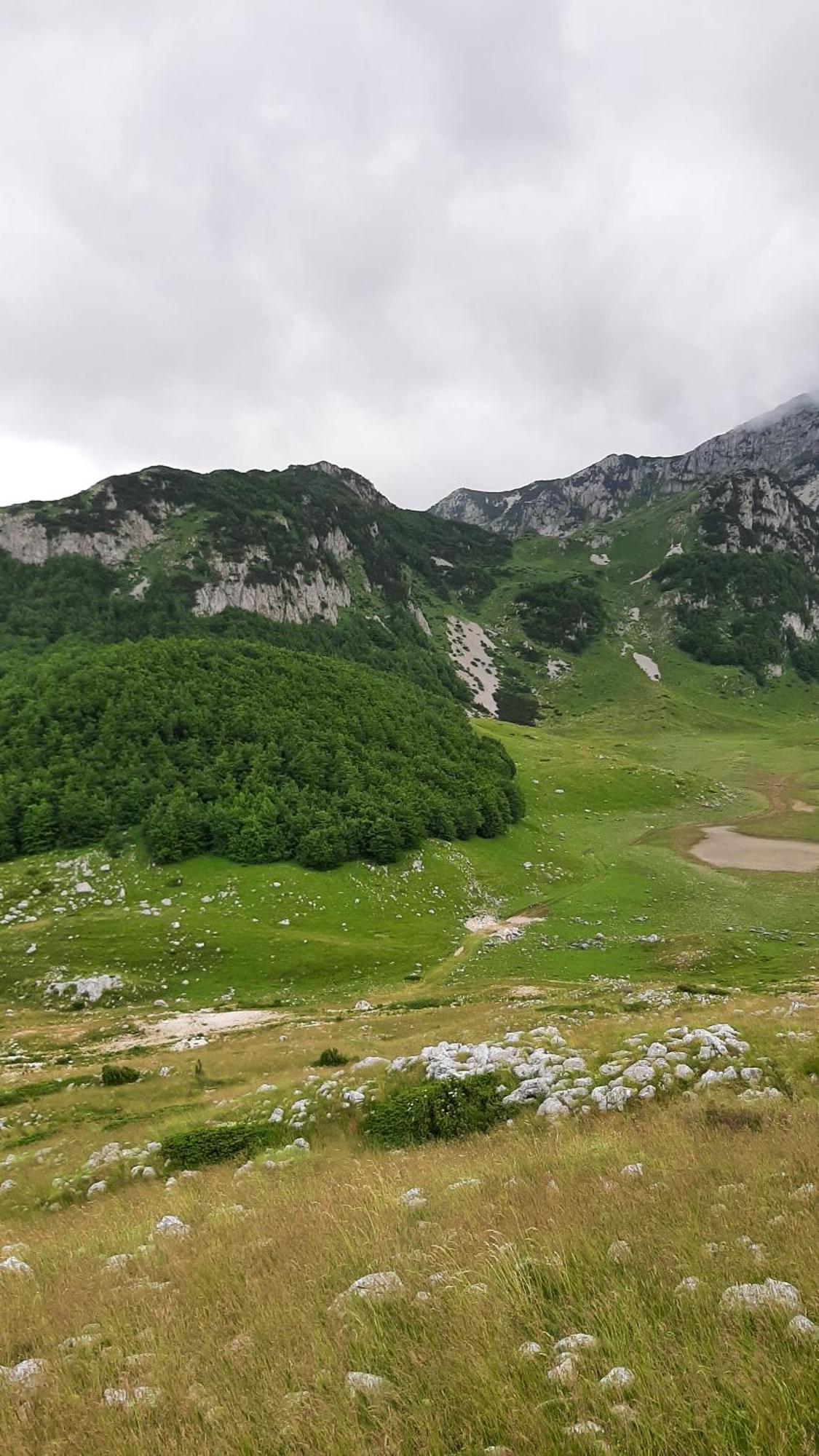 Apartments Durmitor Žabljak Extérieur photo