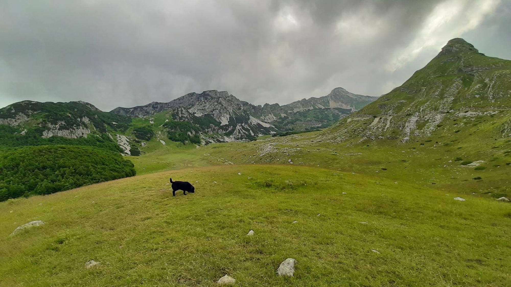 Apartments Durmitor Žabljak Extérieur photo