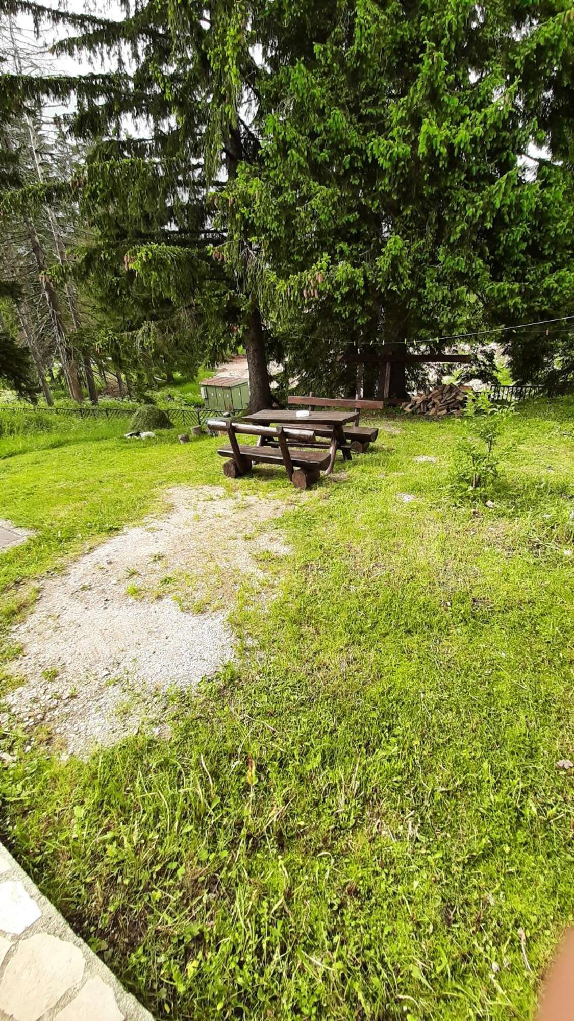 Apartments Durmitor Žabljak Extérieur photo