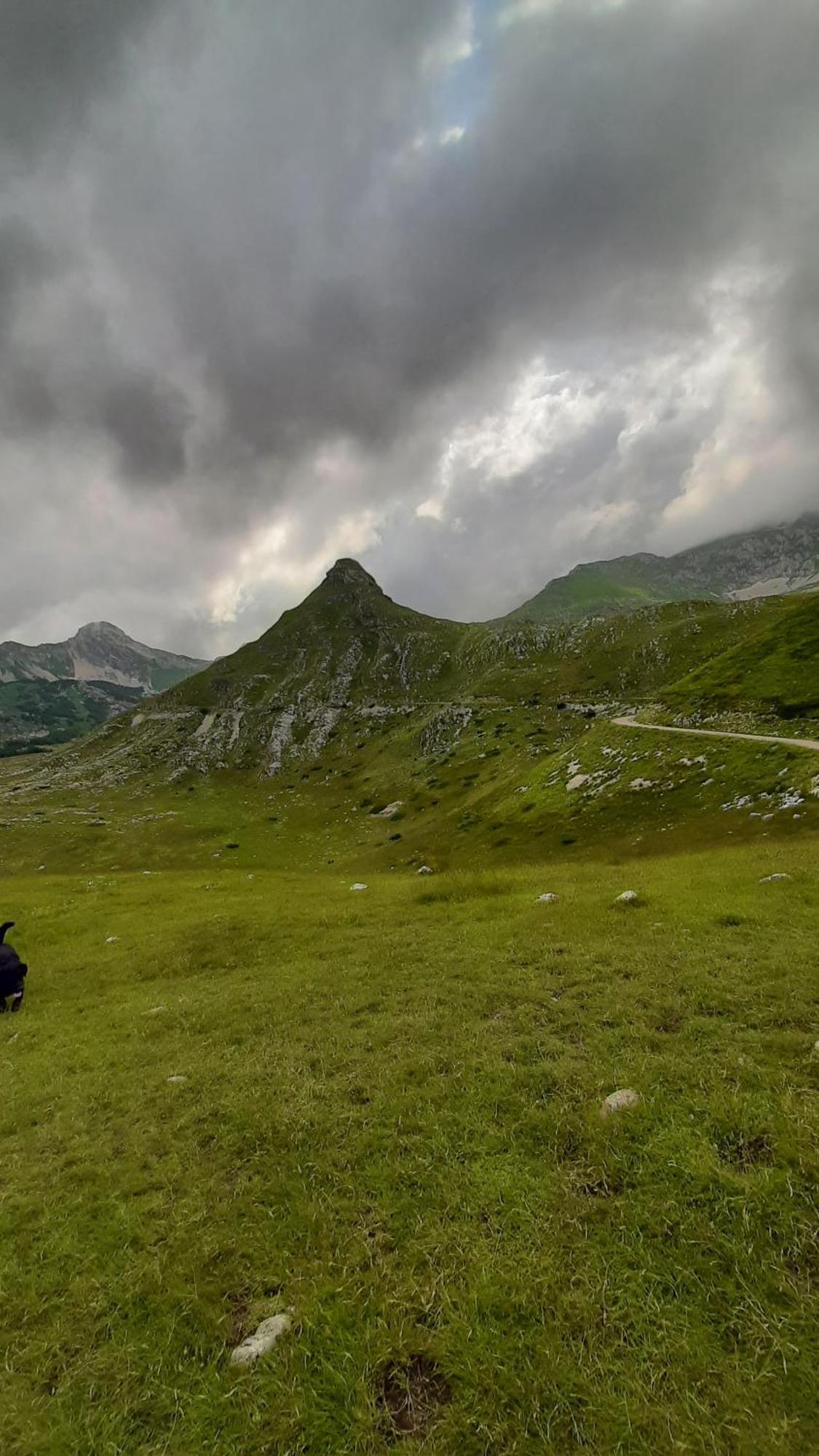 Apartments Durmitor Žabljak Extérieur photo