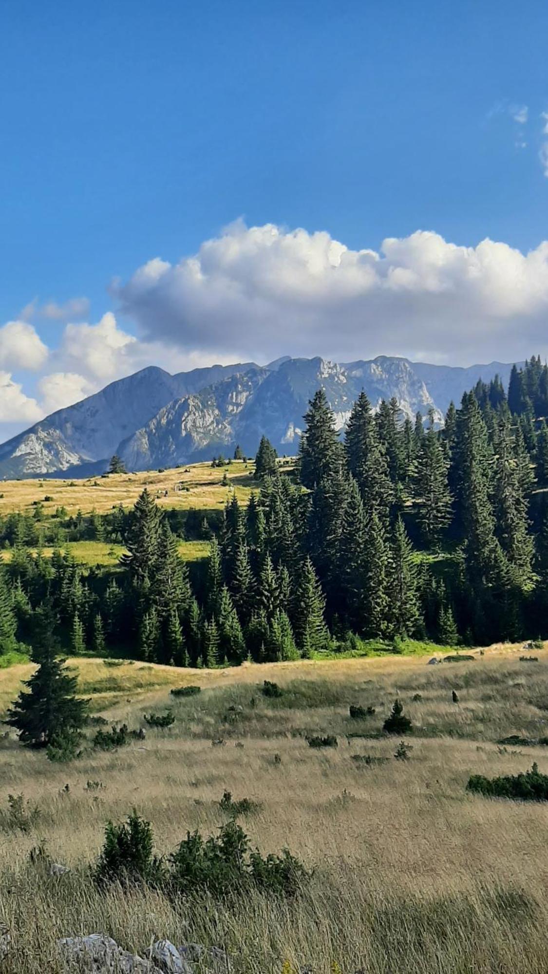 Apartments Durmitor Žabljak Extérieur photo