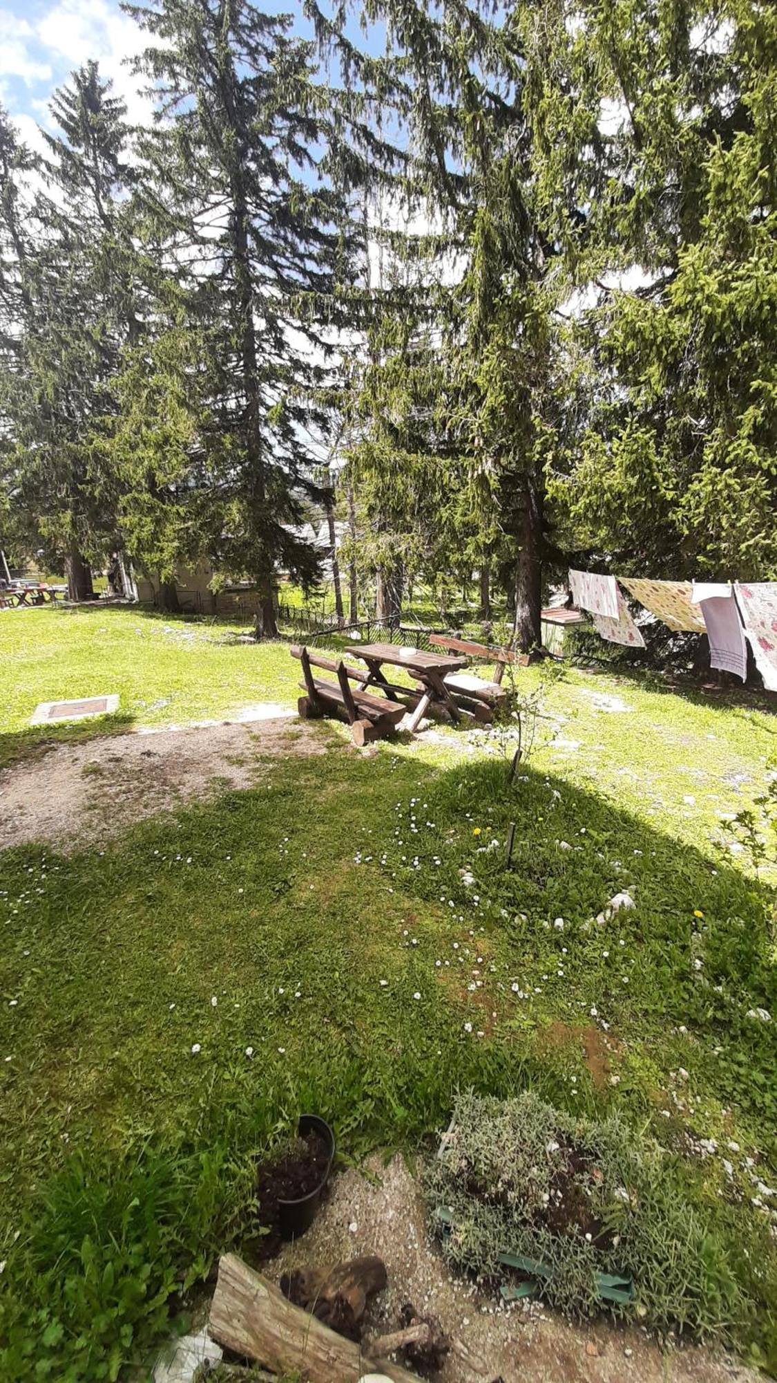 Apartments Durmitor Žabljak Extérieur photo