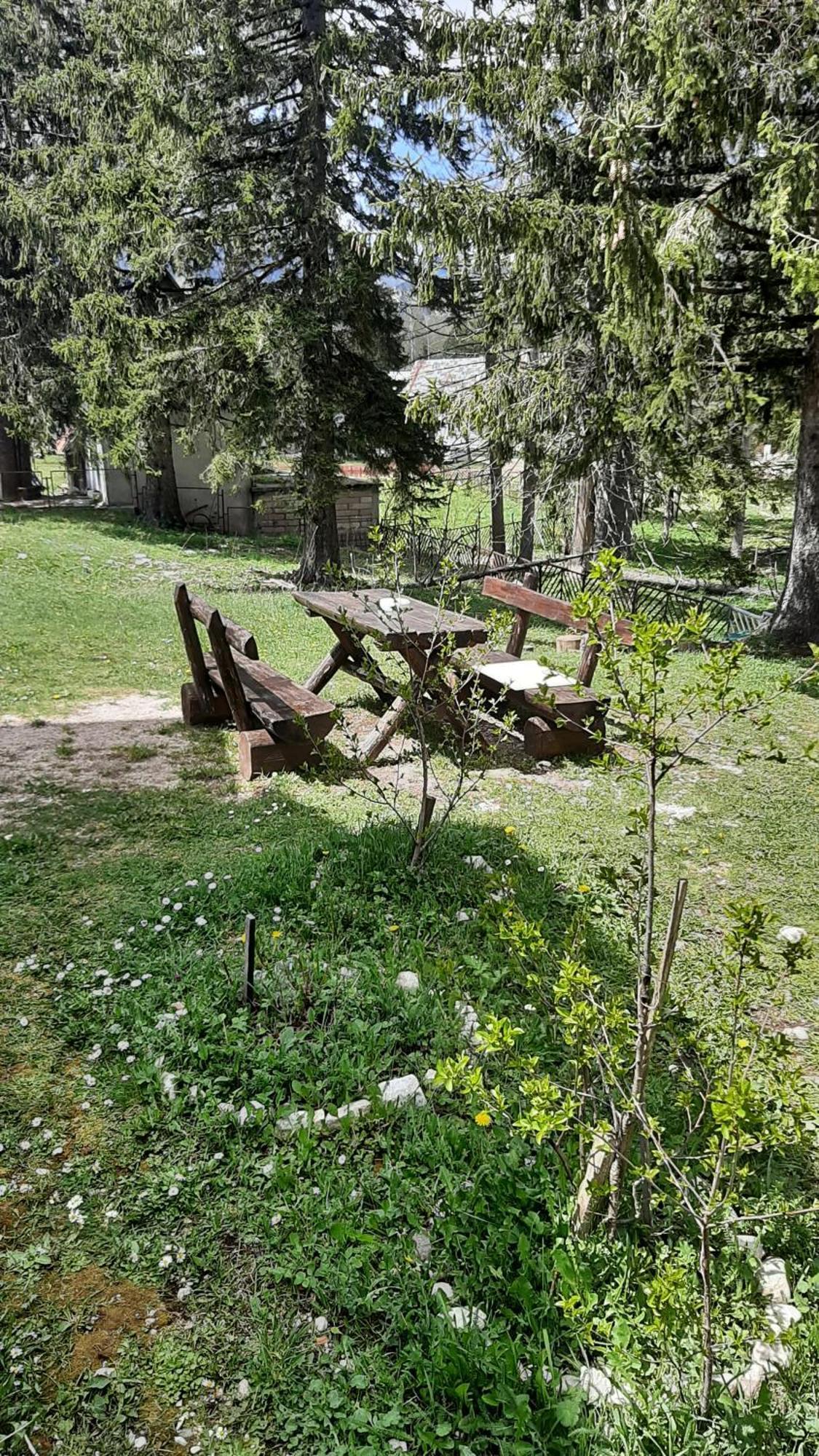 Apartments Durmitor Žabljak Extérieur photo